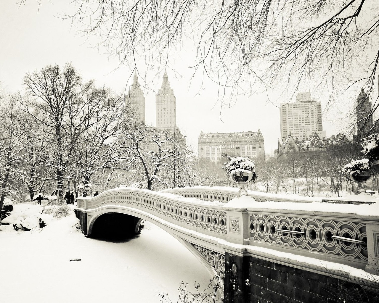 winter, new york, bridge, snow, tree, ice