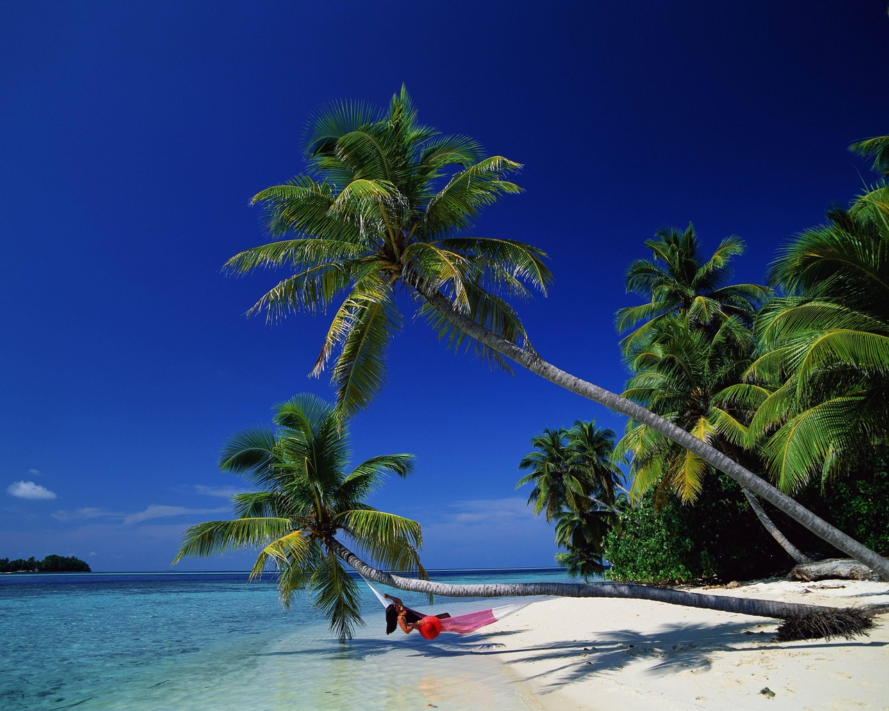 ocean, sea, palm, sand, girl