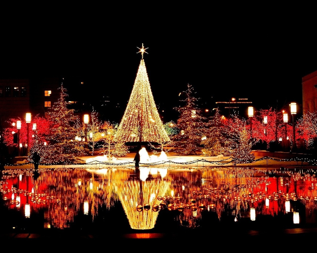 tree, christmas, light, city, night, ,,,