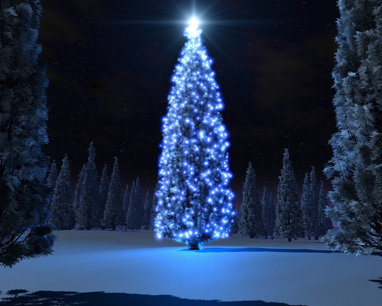 tree, christmas, light, night, snow