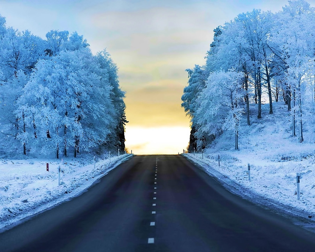 winter, trees, snow, path, mountain, ice