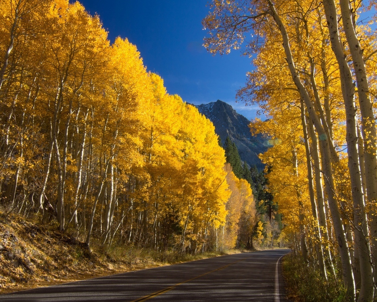 road, trees, yellow, mountain, leaves