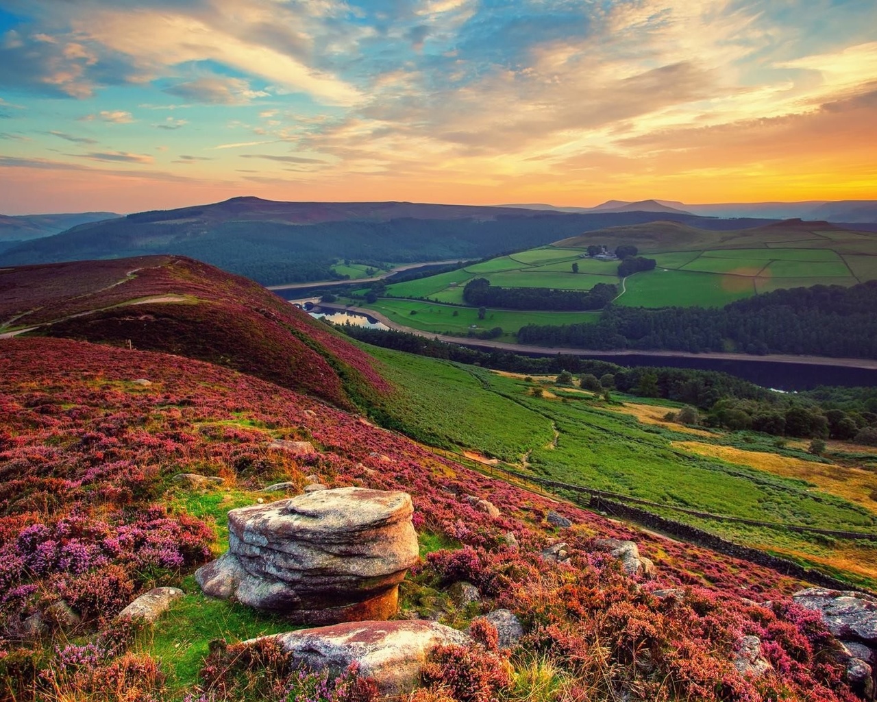 hills, fields, colors, trees, grass, sky