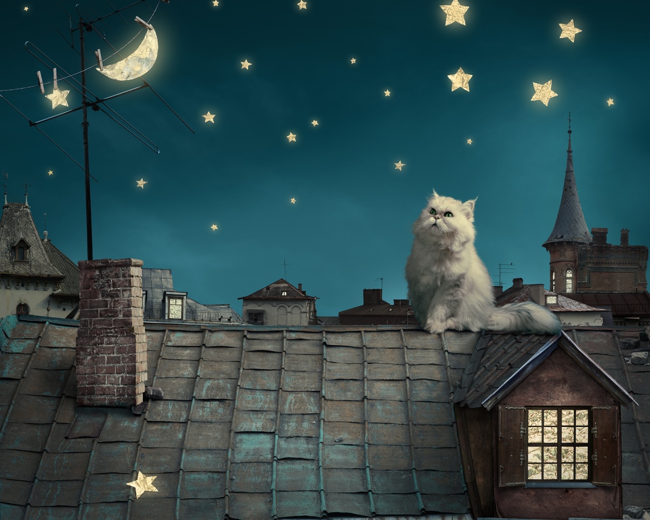 persian white cat, kitten, fairytale, fantasy, roof, house, sky, night, stars, moon