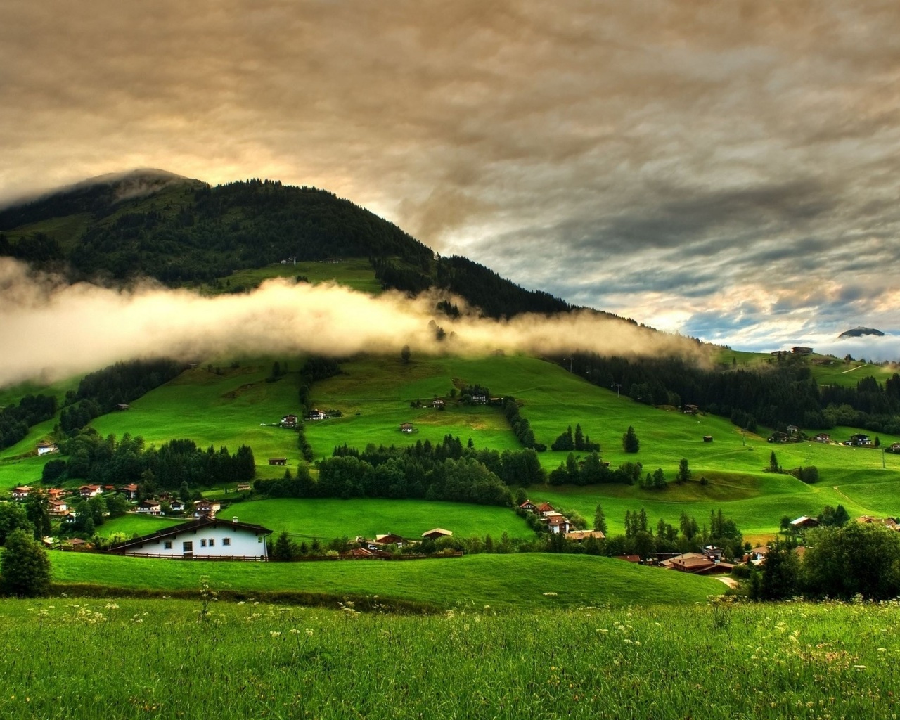 mountain, village, houses, tree, grass