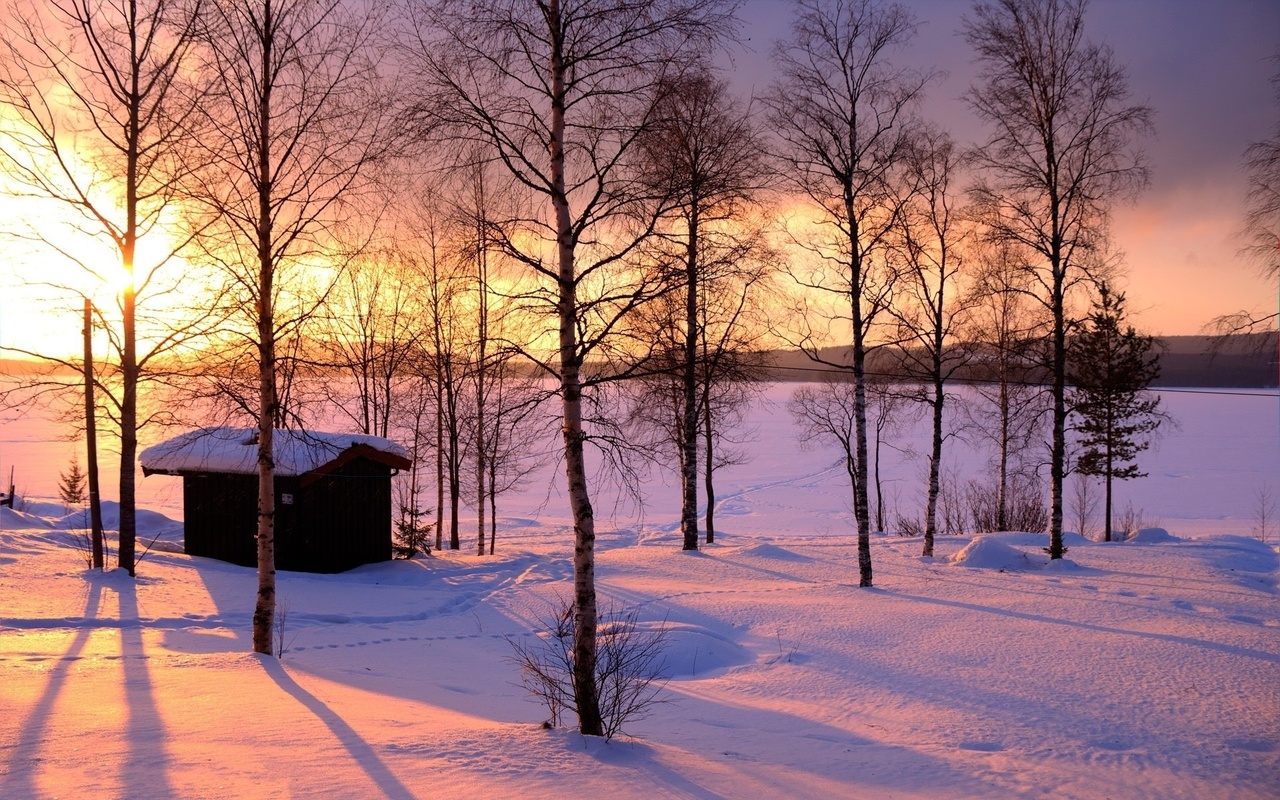 winter, trees, snow, path, mountain, moon, cabin