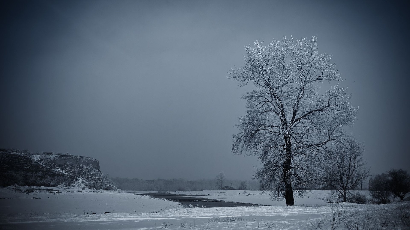 frozen, tree, snow, ice, river, winter
