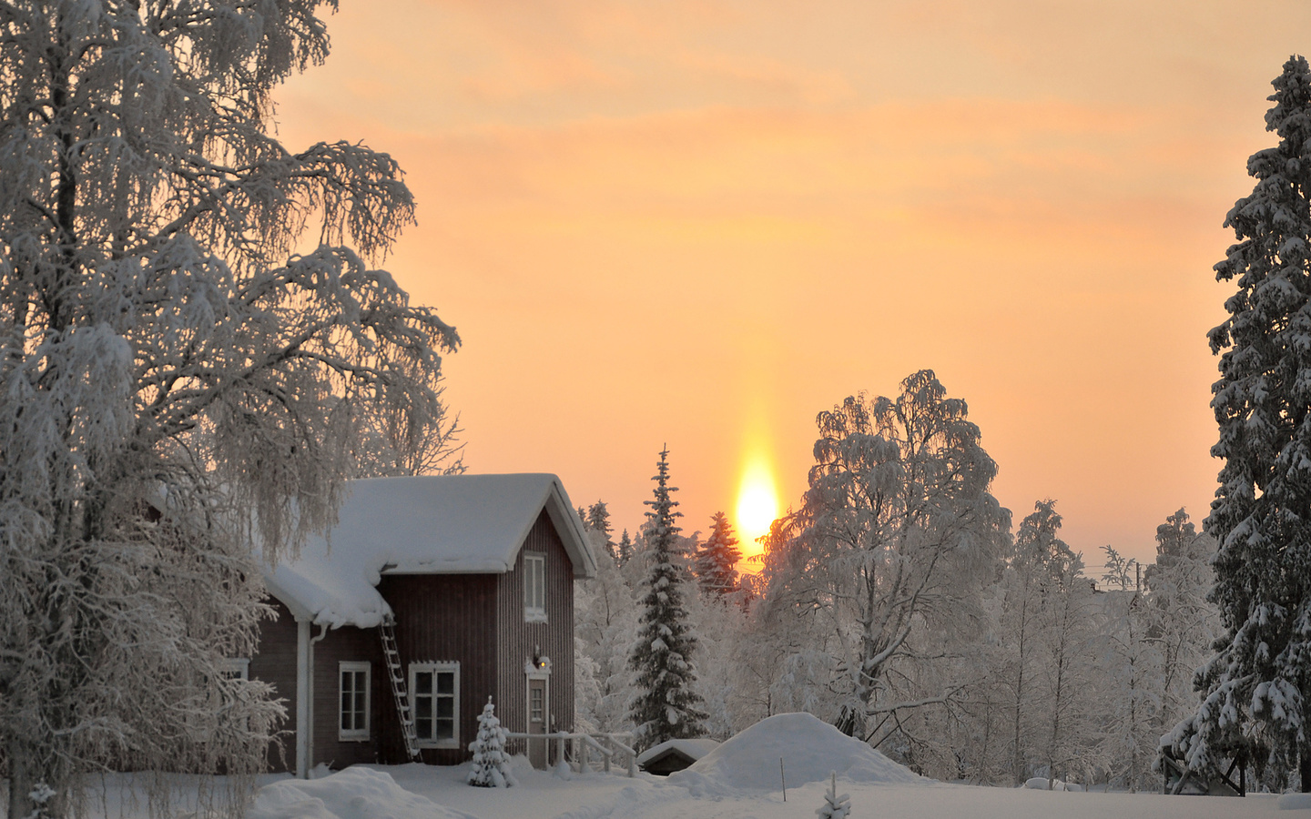 winter, trees, snow, path, mountain, moon, cabin