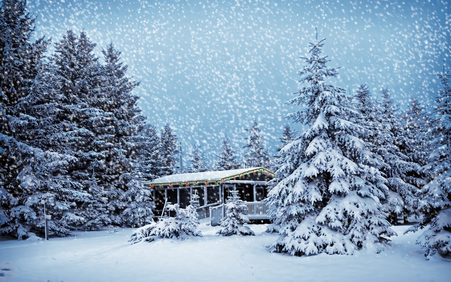 winter, trees, snow, path, mountain, moon, cabin