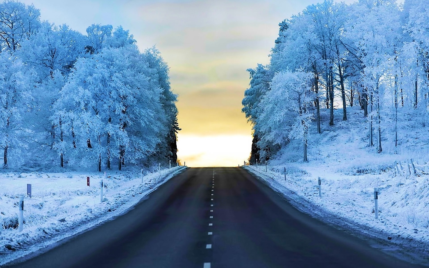 winter, trees, snow, path, mountain, ice