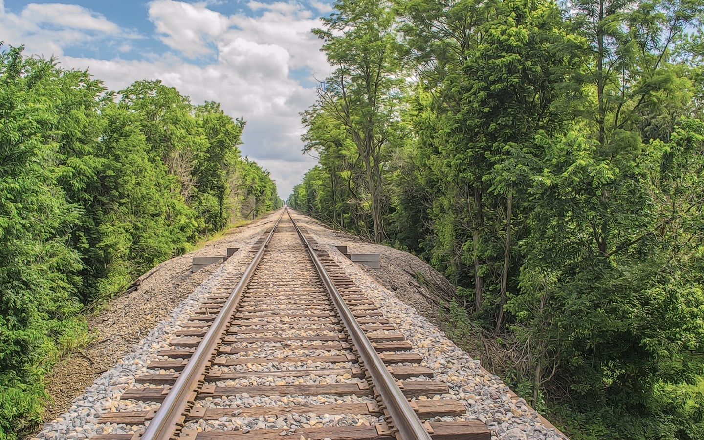 railroad, tracks, tree, green, sky