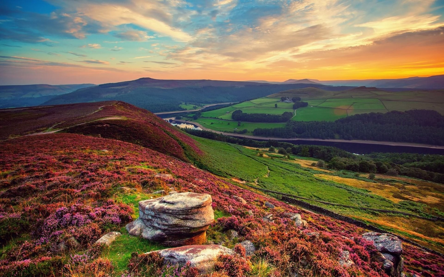 hills, fields, colors, trees, grass, sky