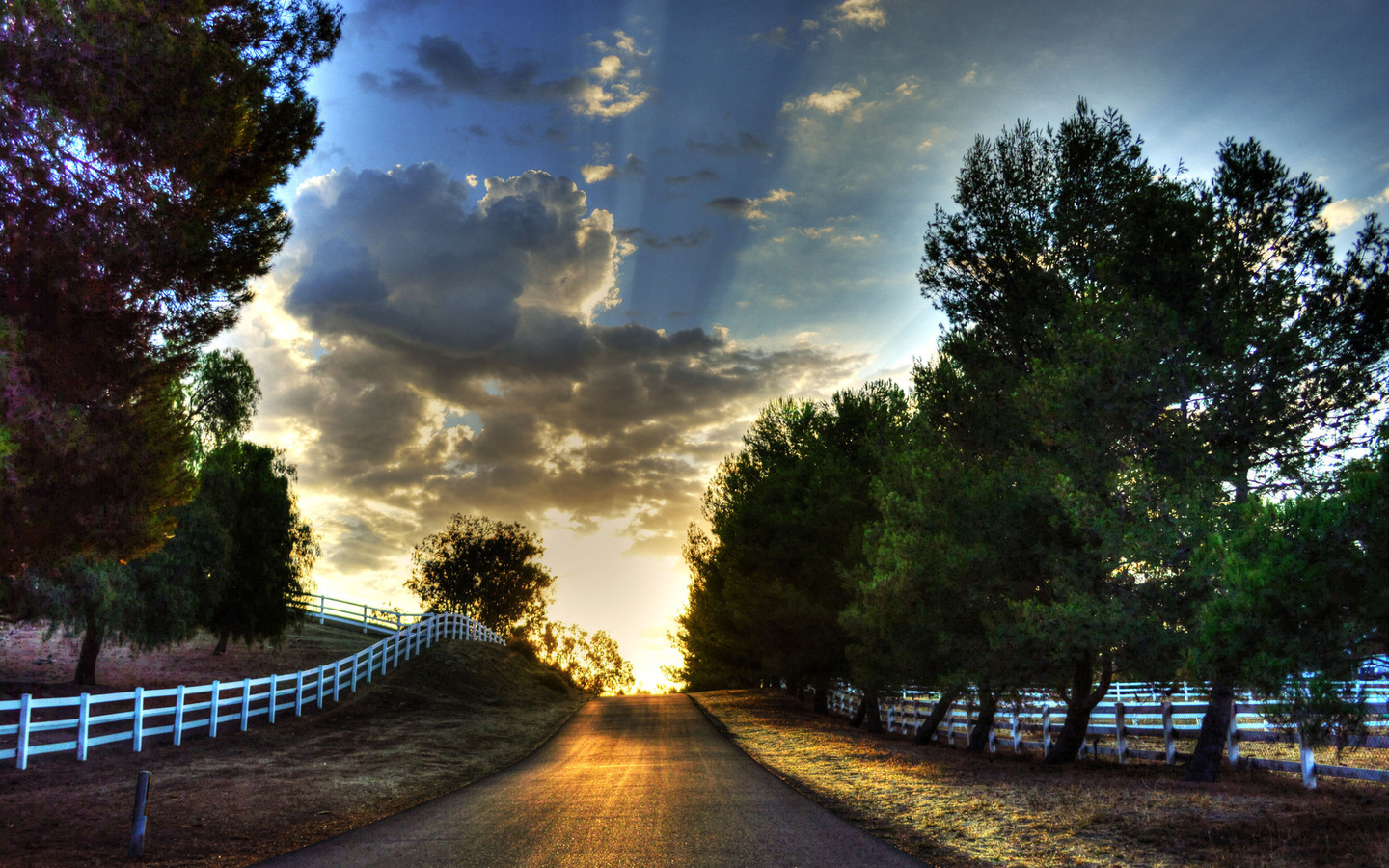 sunrise, road, bridge, trees, sky