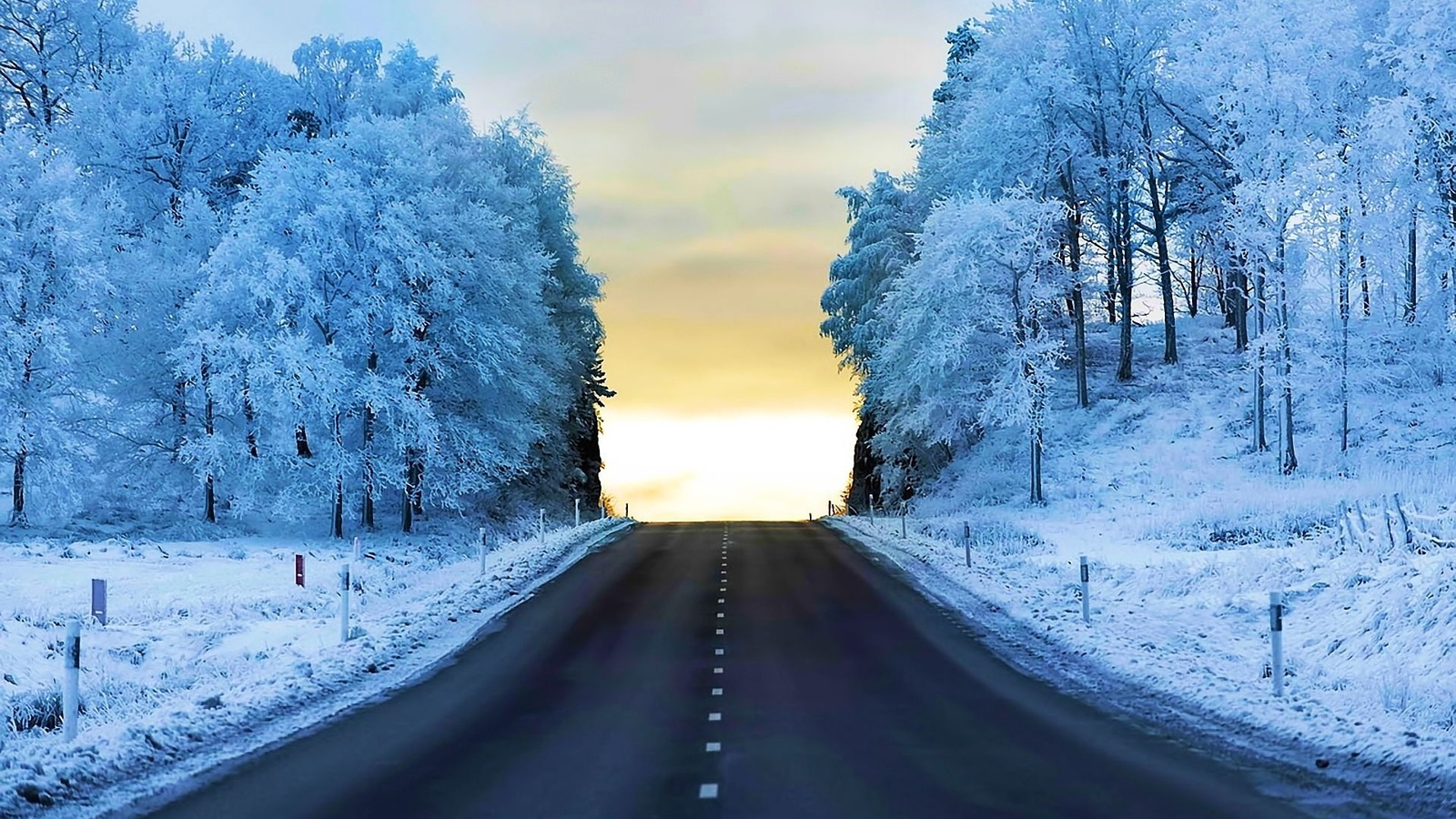 winter, trees, snow, path, mountain, ice