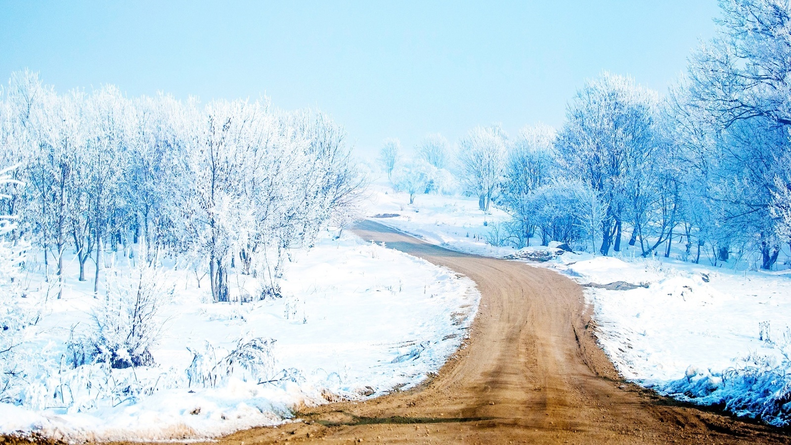 winter, trees, snow, path, mountain, road