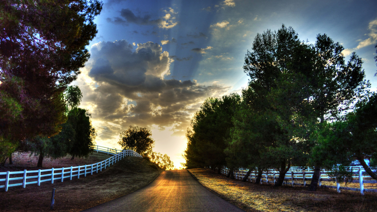 sunrise, road, bridge, trees, sky