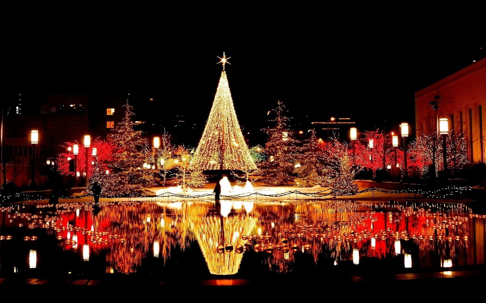 tree, christmas, light, city, night, ,,,
