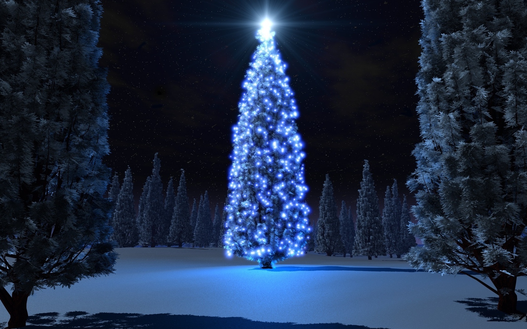 tree, christmas, light, night, snow