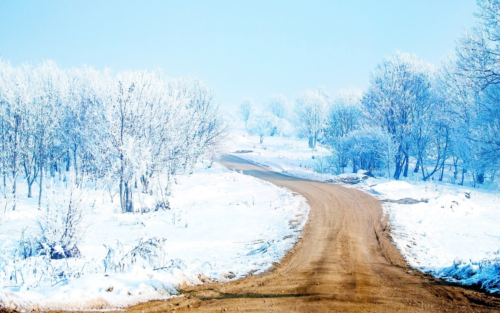 winter, trees, snow, path, mountain, road