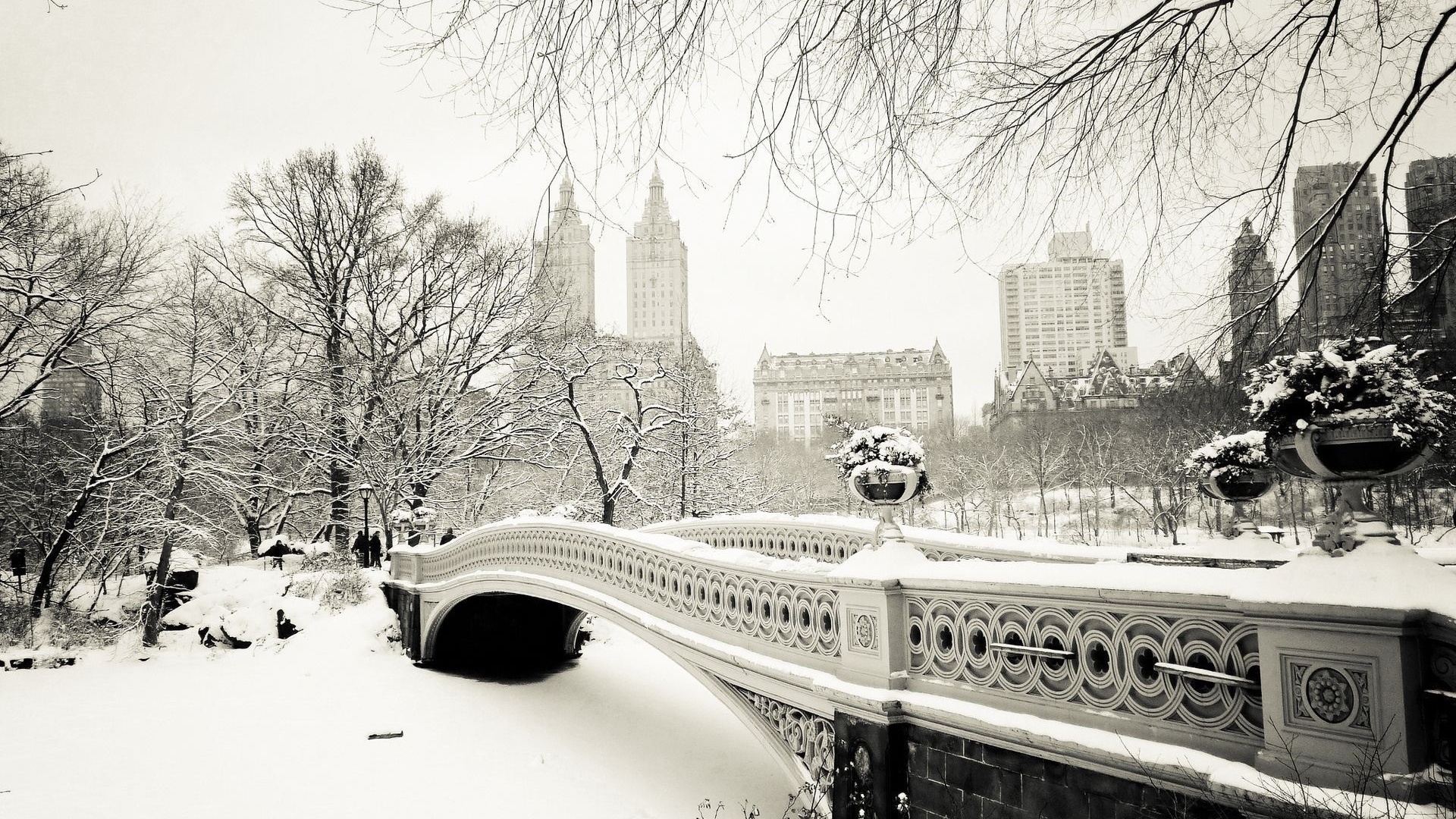 winter, new york, bridge, snow, tree, ice