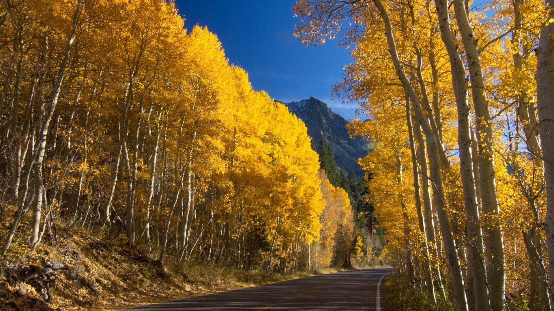 road, trees, yellow, mountain, leaves
