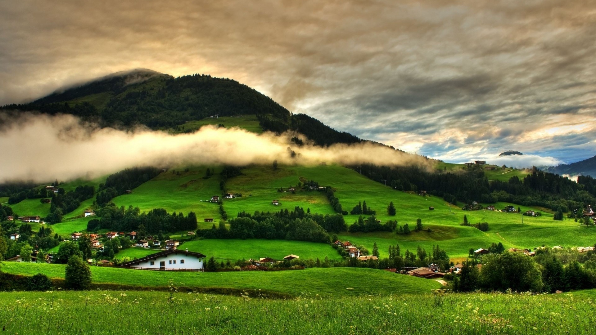 mountain, village, houses, tree, grass