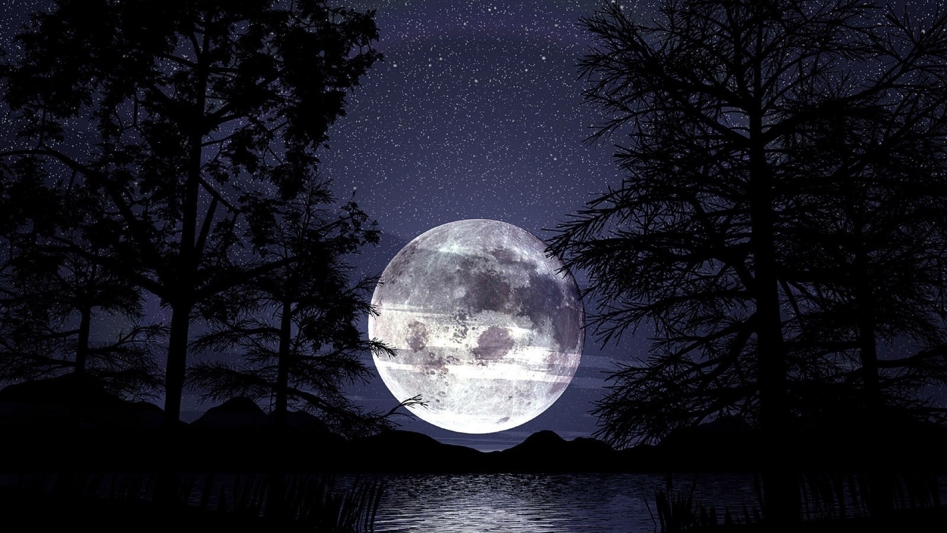 moon, tree, sky, dark, river, reflextion