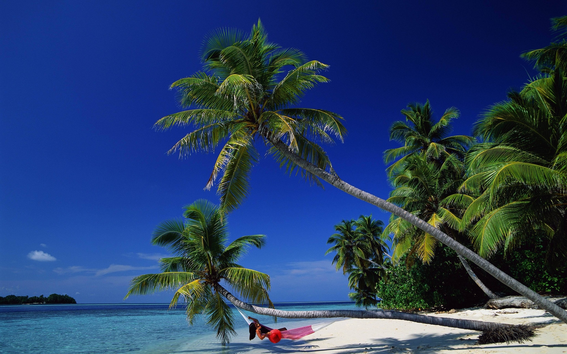 ocean, sea, palm, sand, girl