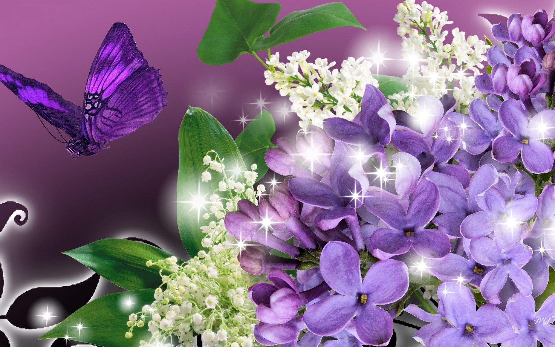 blossoms, butterfly, flower, purple