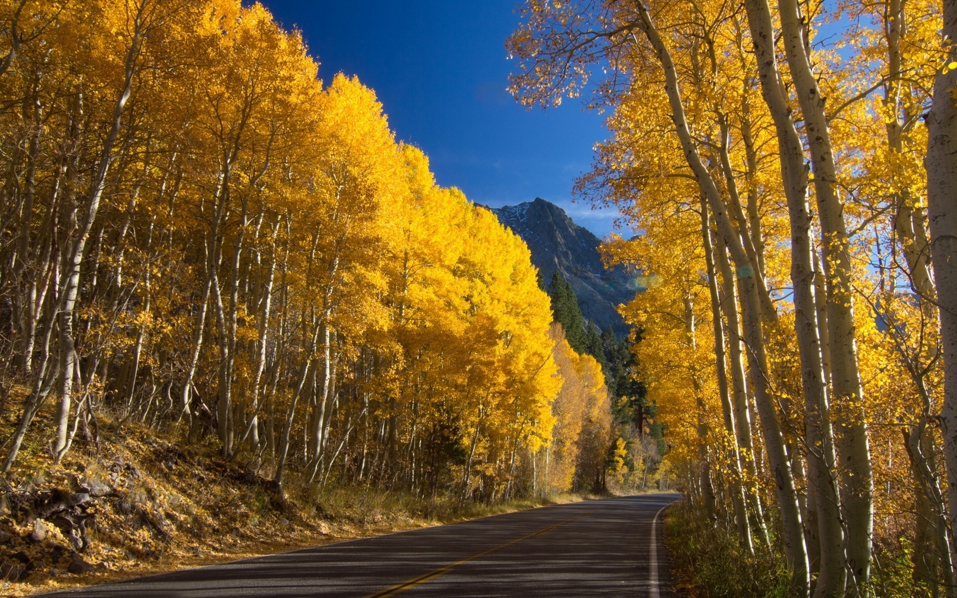 road, trees, yellow, mountain, leaves