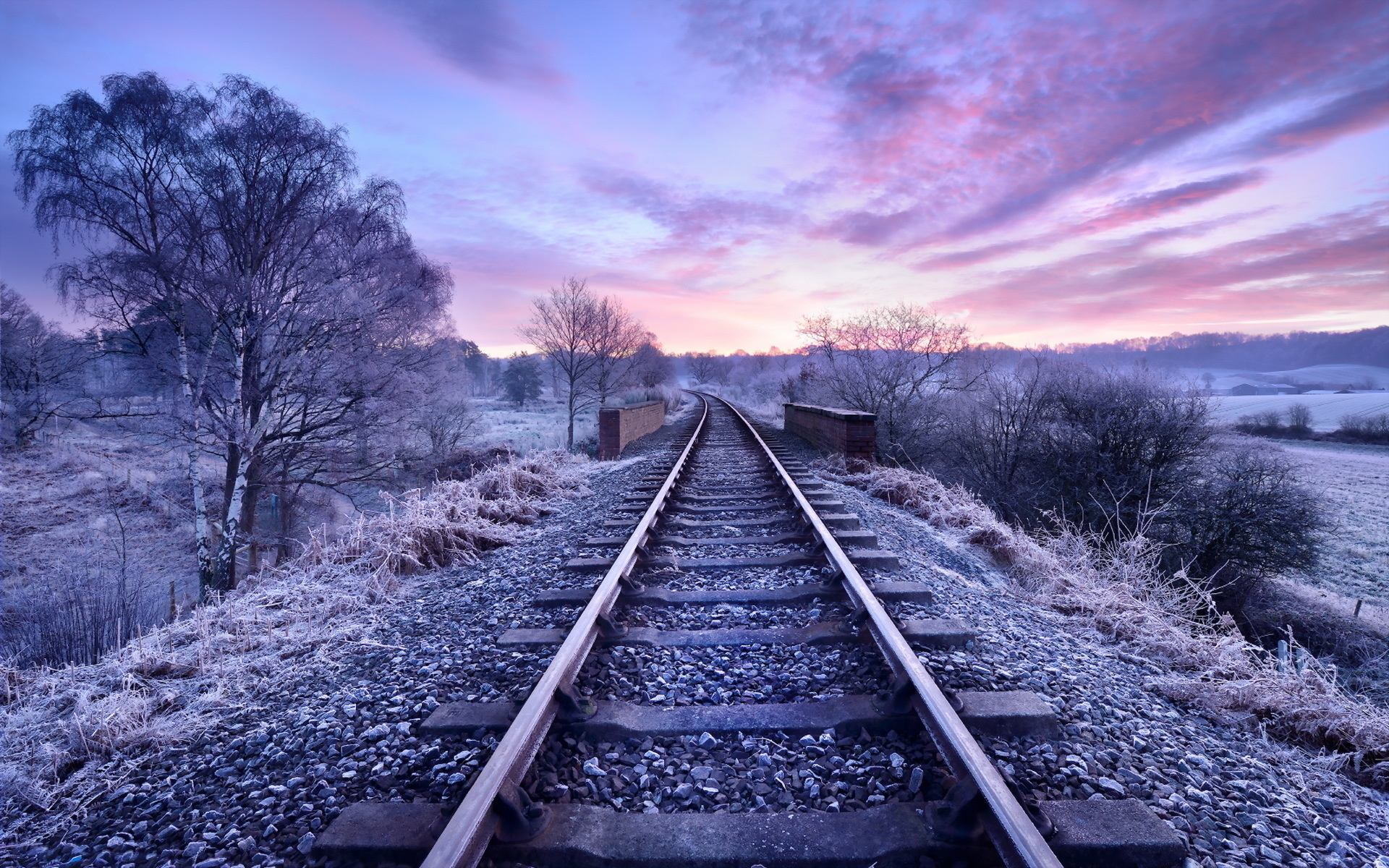 railroad, tracks, tree, green, sky
