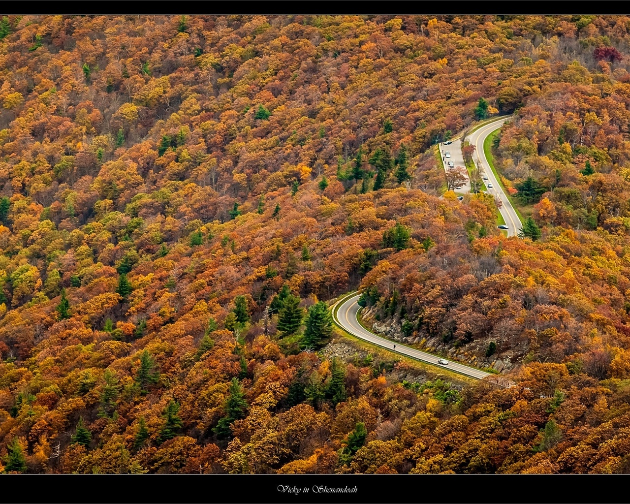 road, forest, tree, mountain
