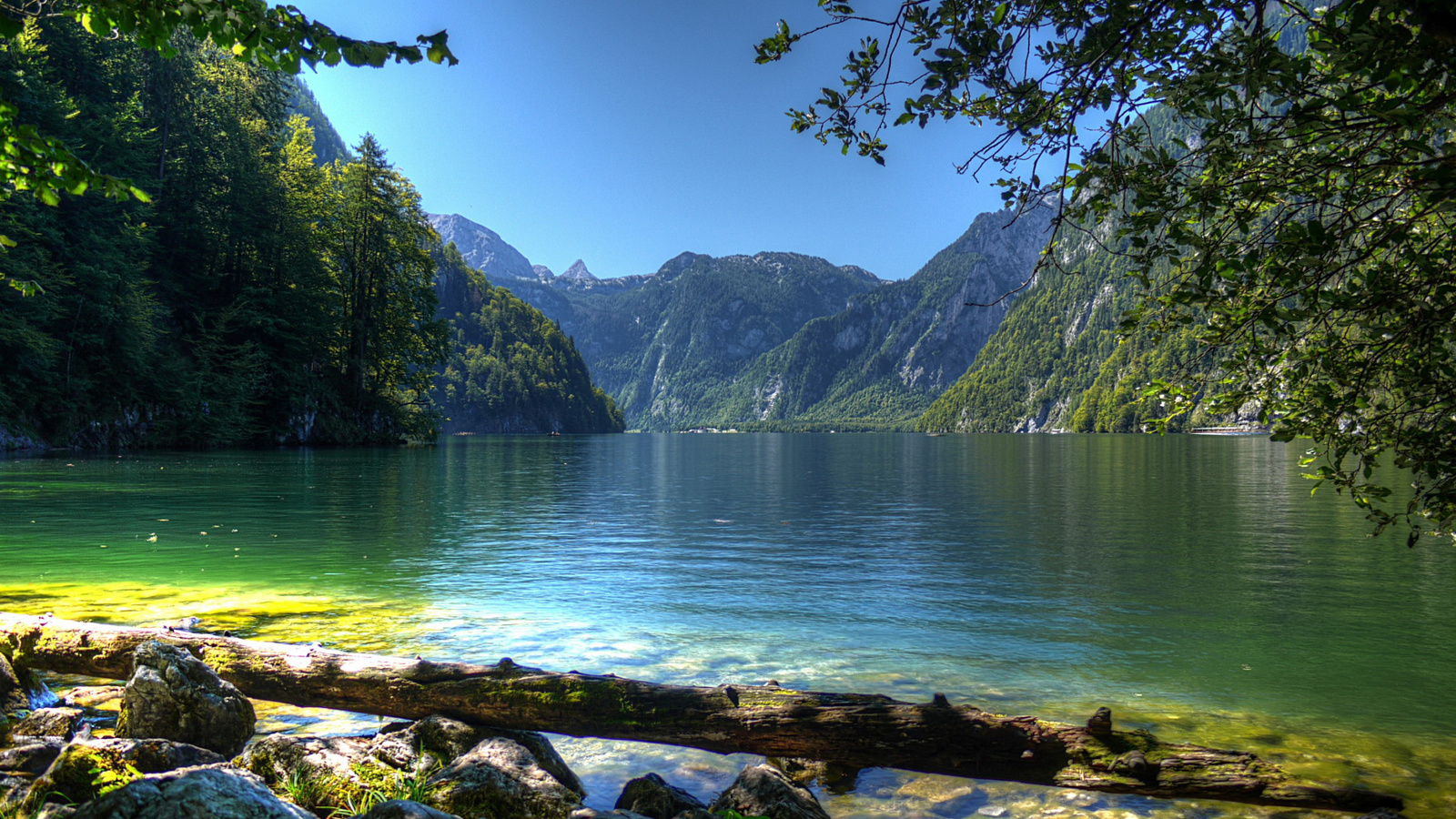 waterfall, forest, tree, river, green