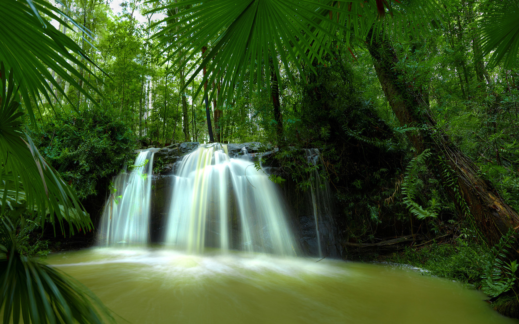 waterfall, forest, tree, river, green
