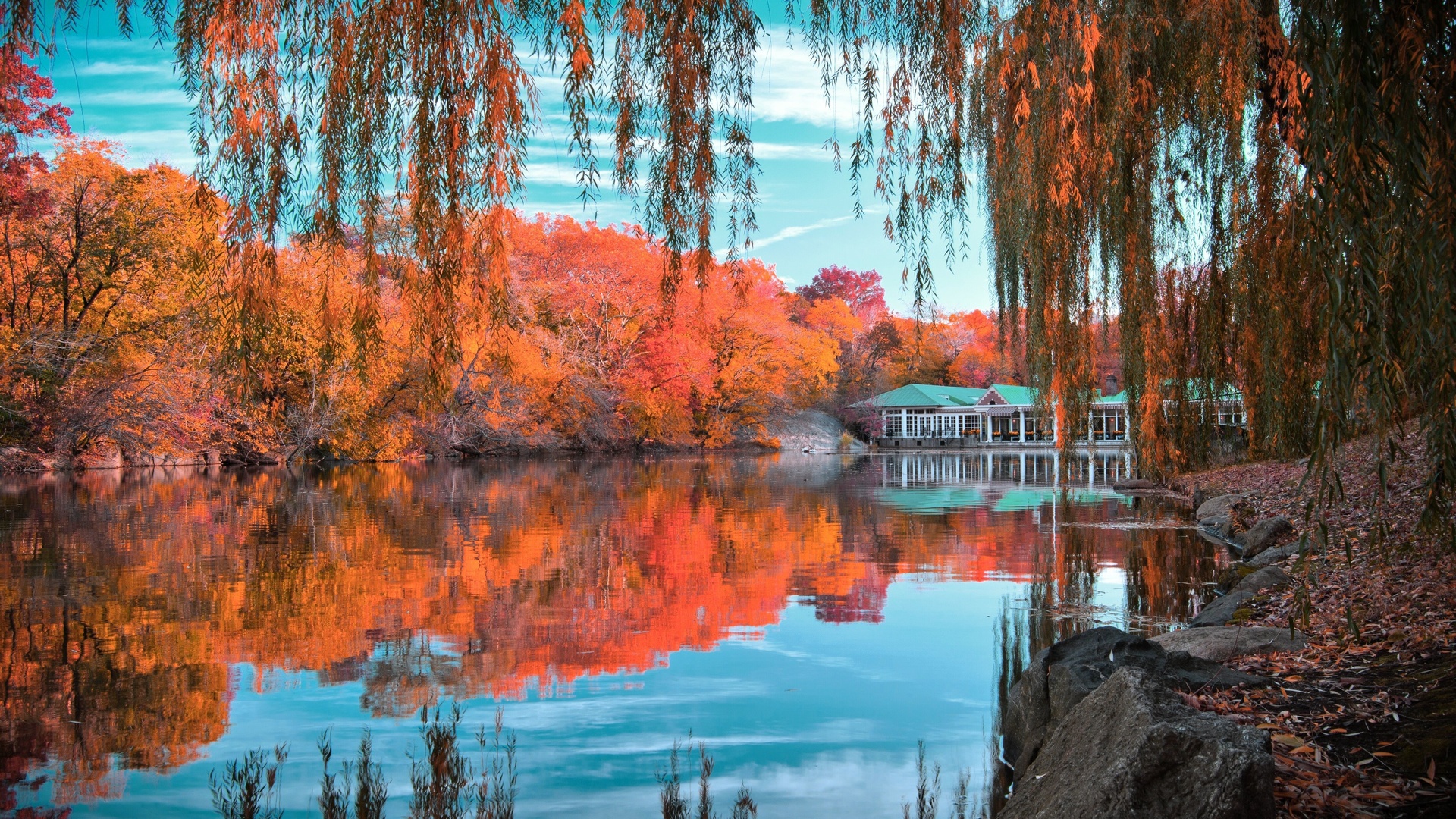 central park, new york,  ,  , , , , , , , , , , 