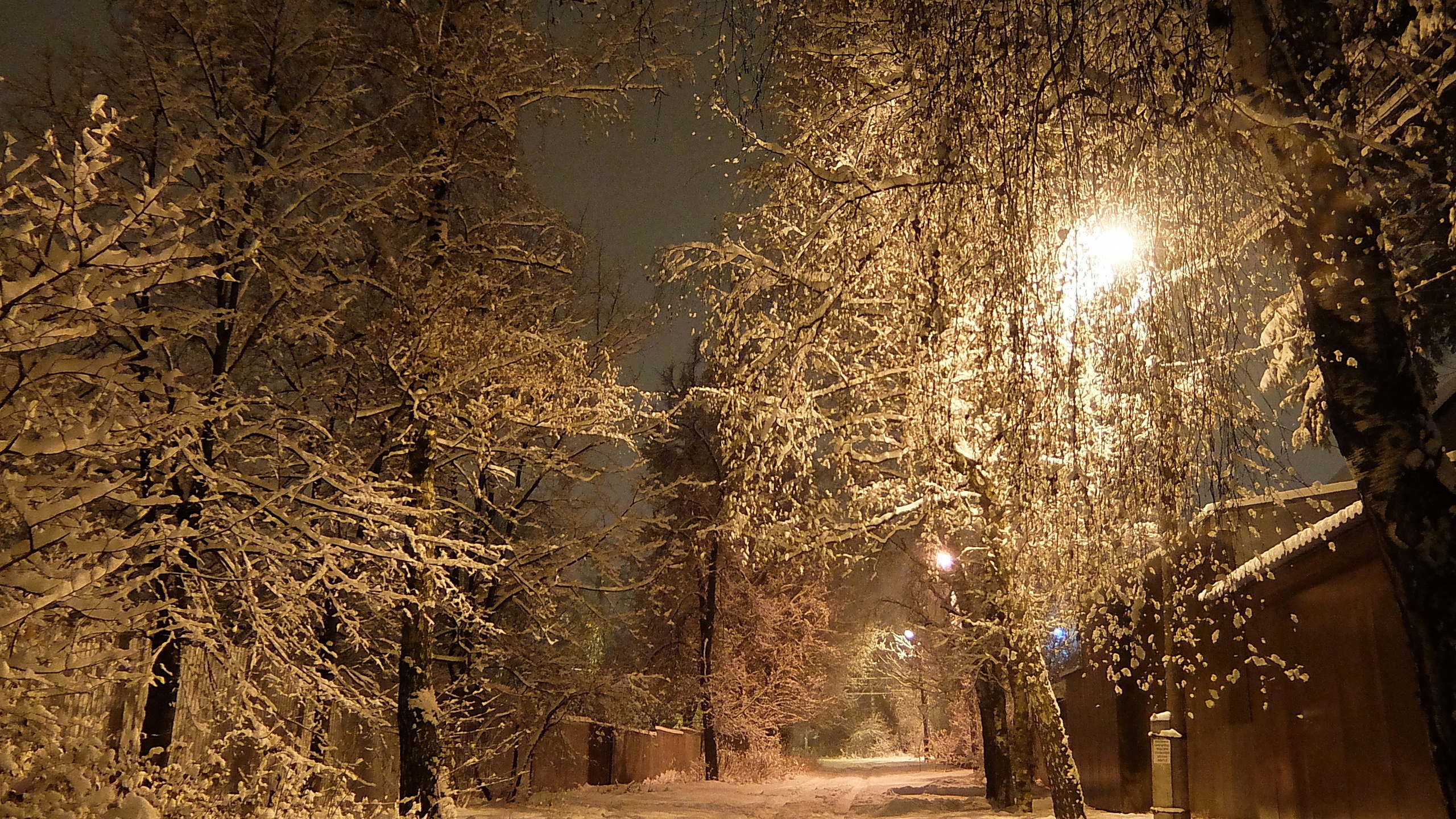 Вечер падающий снег. Зимний город. Красивый снегопад. Зима. К вечеру. Зимний вечер.