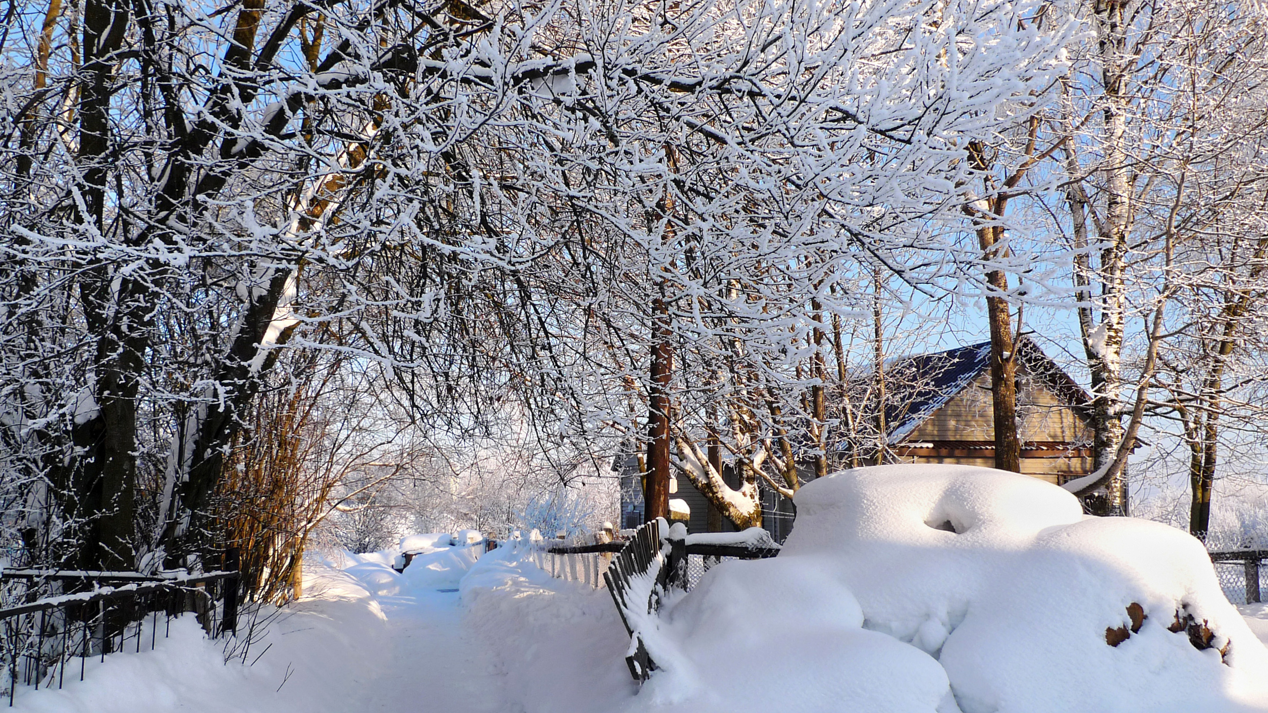 Сколько живет зима. Зима. Зима фото. Русская зима в деревне. Зима январь.
