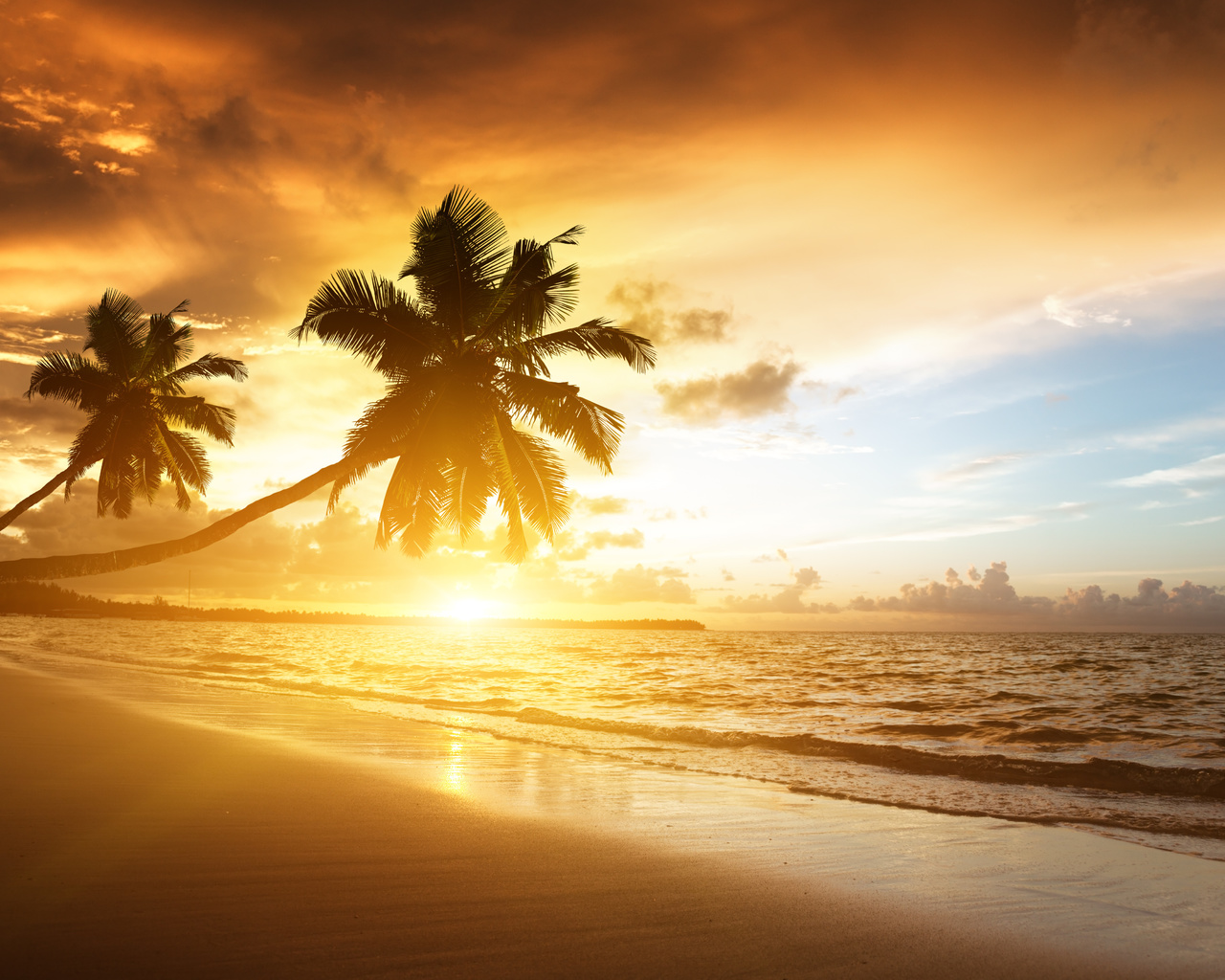 caribbean, ocean, sea, sunrise, sunlight, palms, clouds, sky, beach, shore, nature, landscape