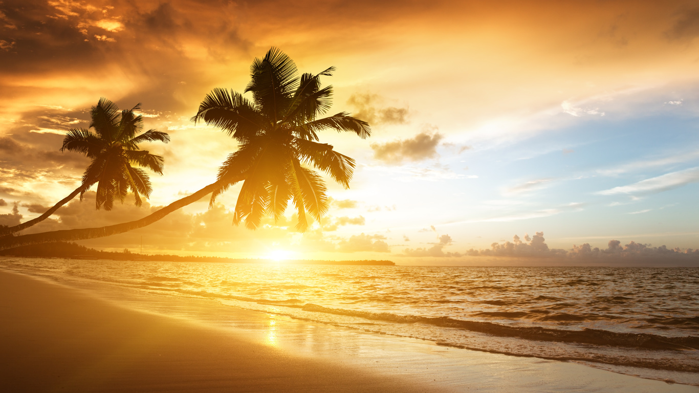 caribbean, ocean, sea, sunrise, sunlight, palms, clouds, sky, beach, shore, nature, landscape