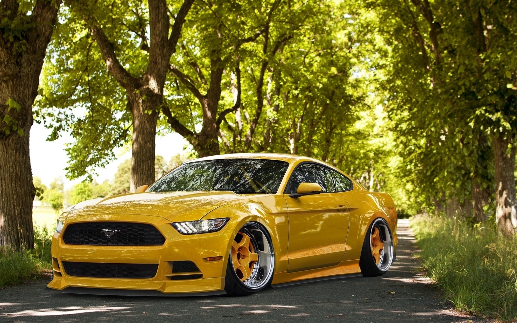 ford, mustang, , , , , , , 