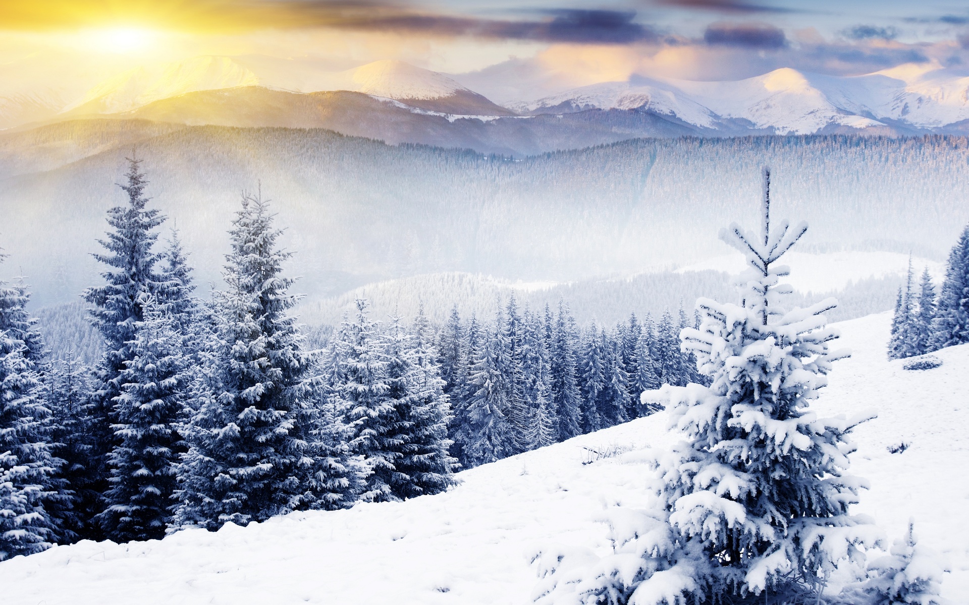, , , , ,  , nature, winter, mountains, trees, snow, sunlight