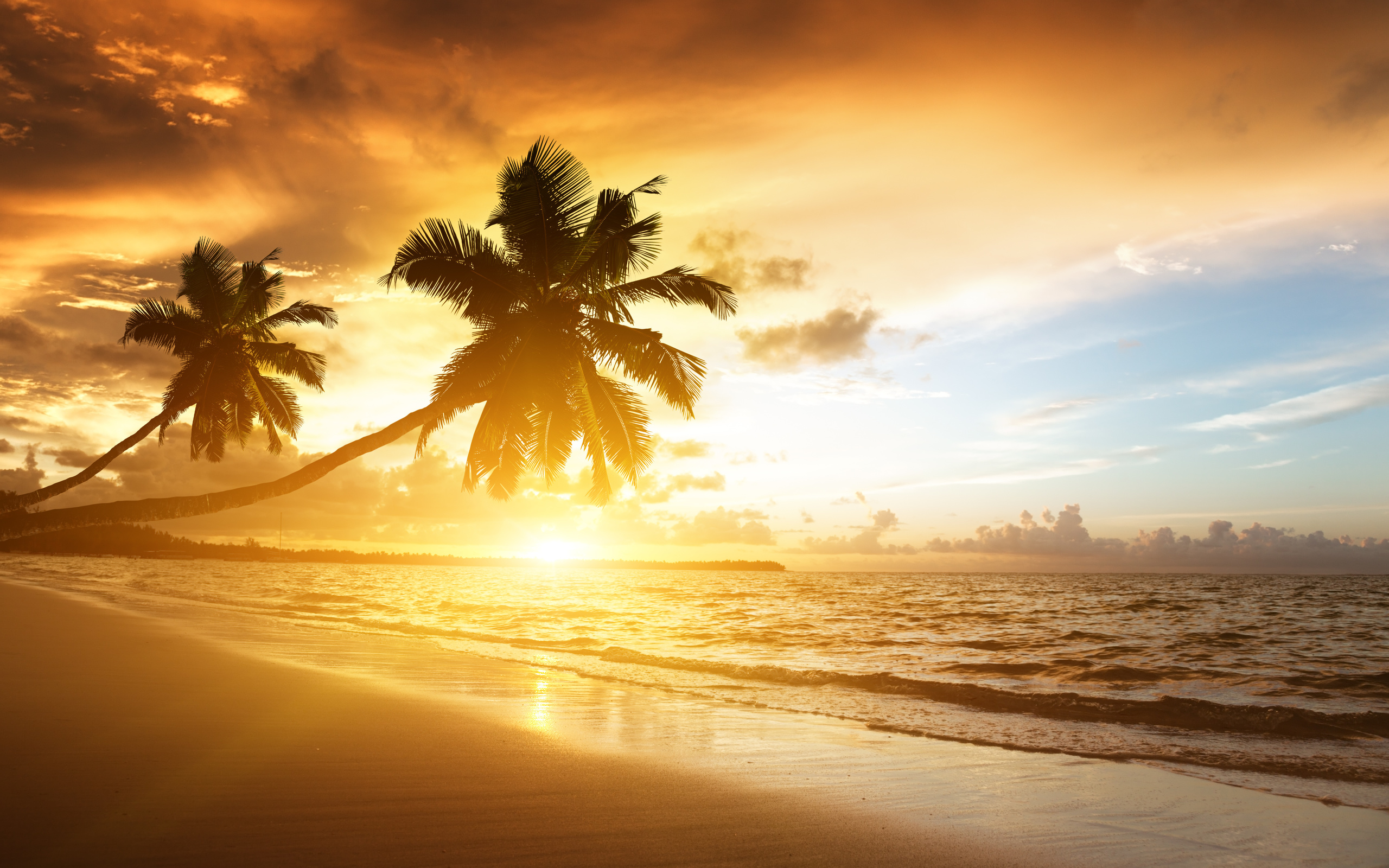 caribbean, ocean, sea, sunrise, sunlight, palms, clouds, sky, beach, shore, nature, landscape