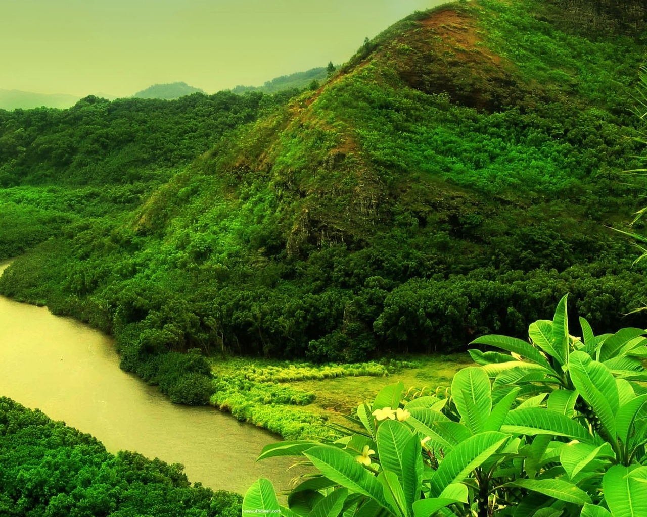 river, mountain, water, forest, green, tree