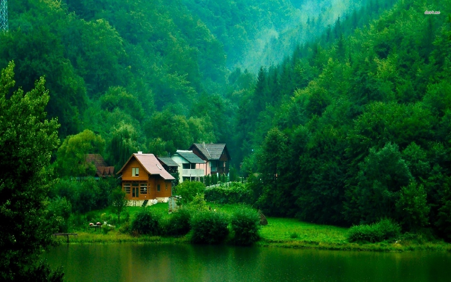 cabin, lakeside, tree, forest, water, lake, green