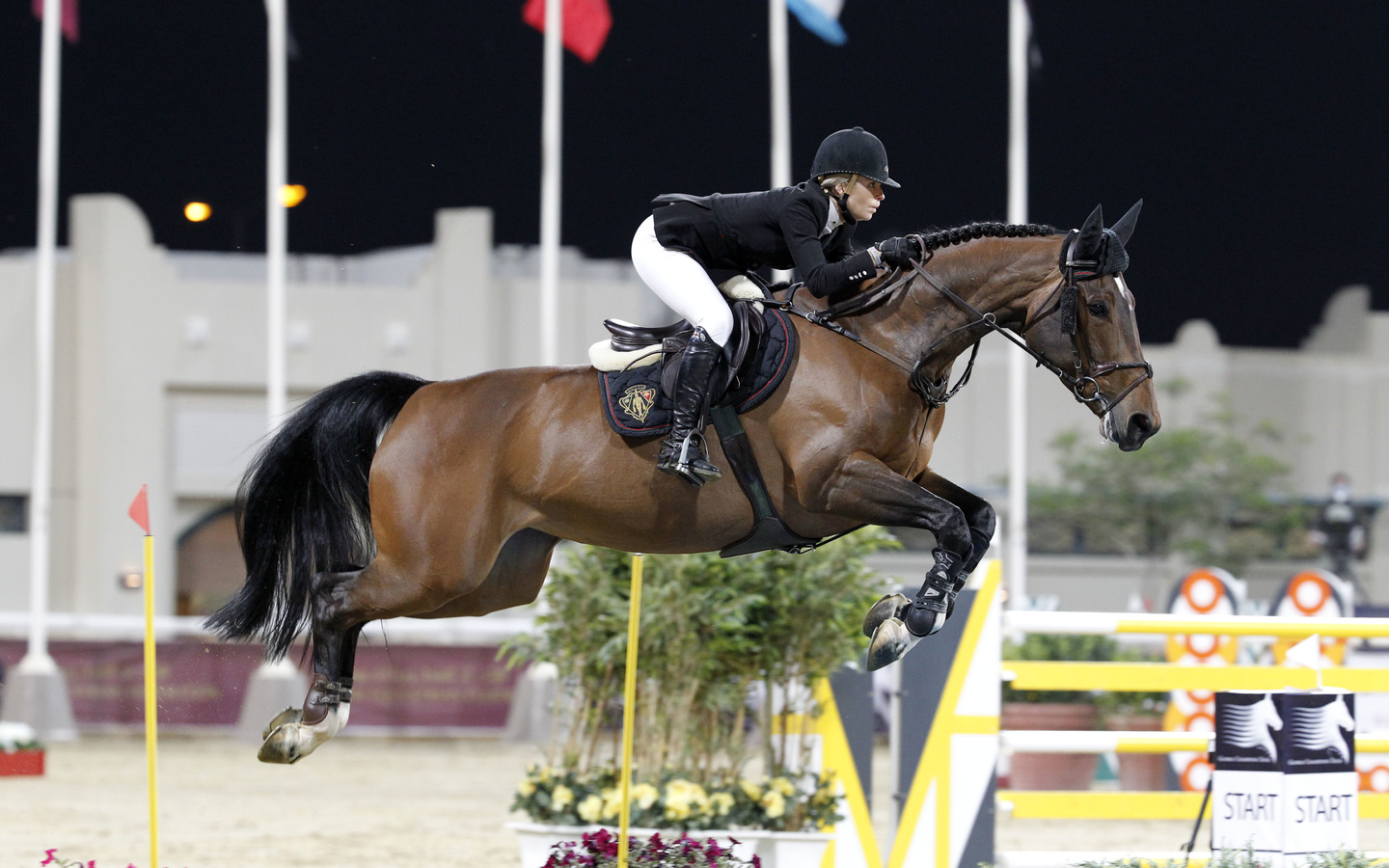 edwina tops-alexander, ,  , , , , , jumping, equestrian