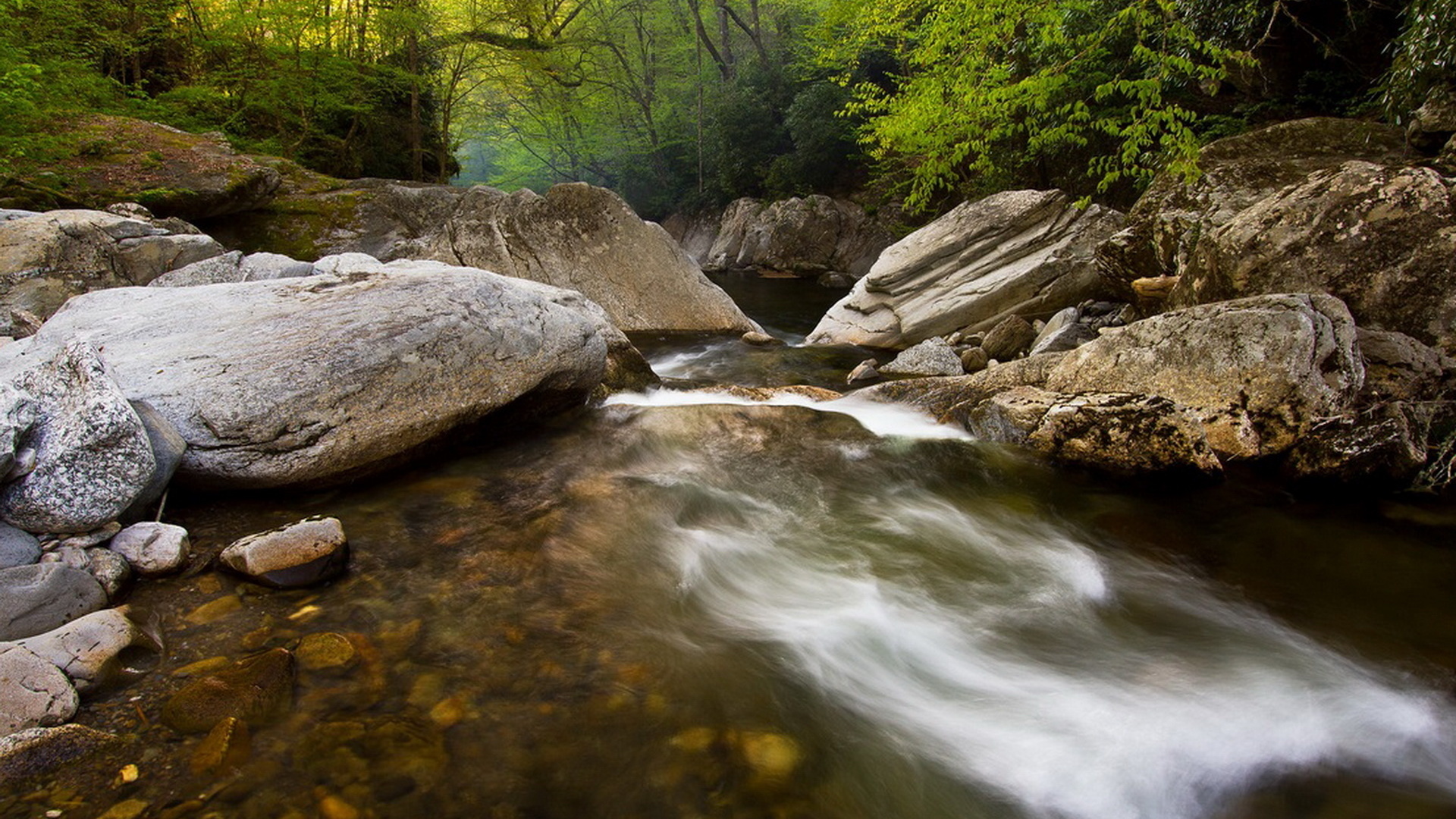 Соло природа видео. Ручей с камнями. Природа Сочи лес. Ручей и камень сказка. Фотообои деревья у ручья вода.