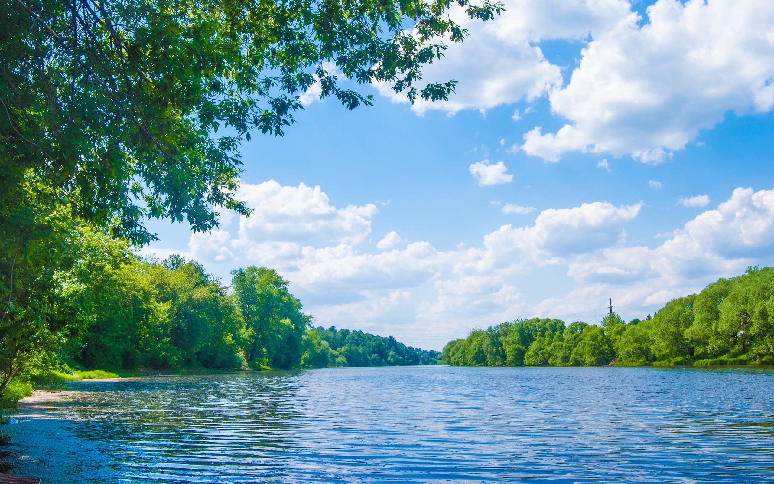 river lune, sea, lake, deep forest, trees, sky, clouds, landscape, nature, beautiful nature, green trees