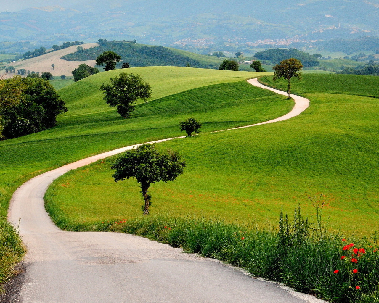 path, green, tree, grass, naturals