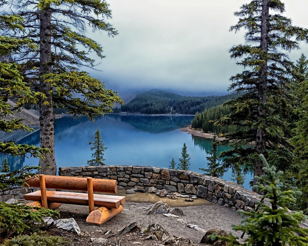 bench, lake, tree, water