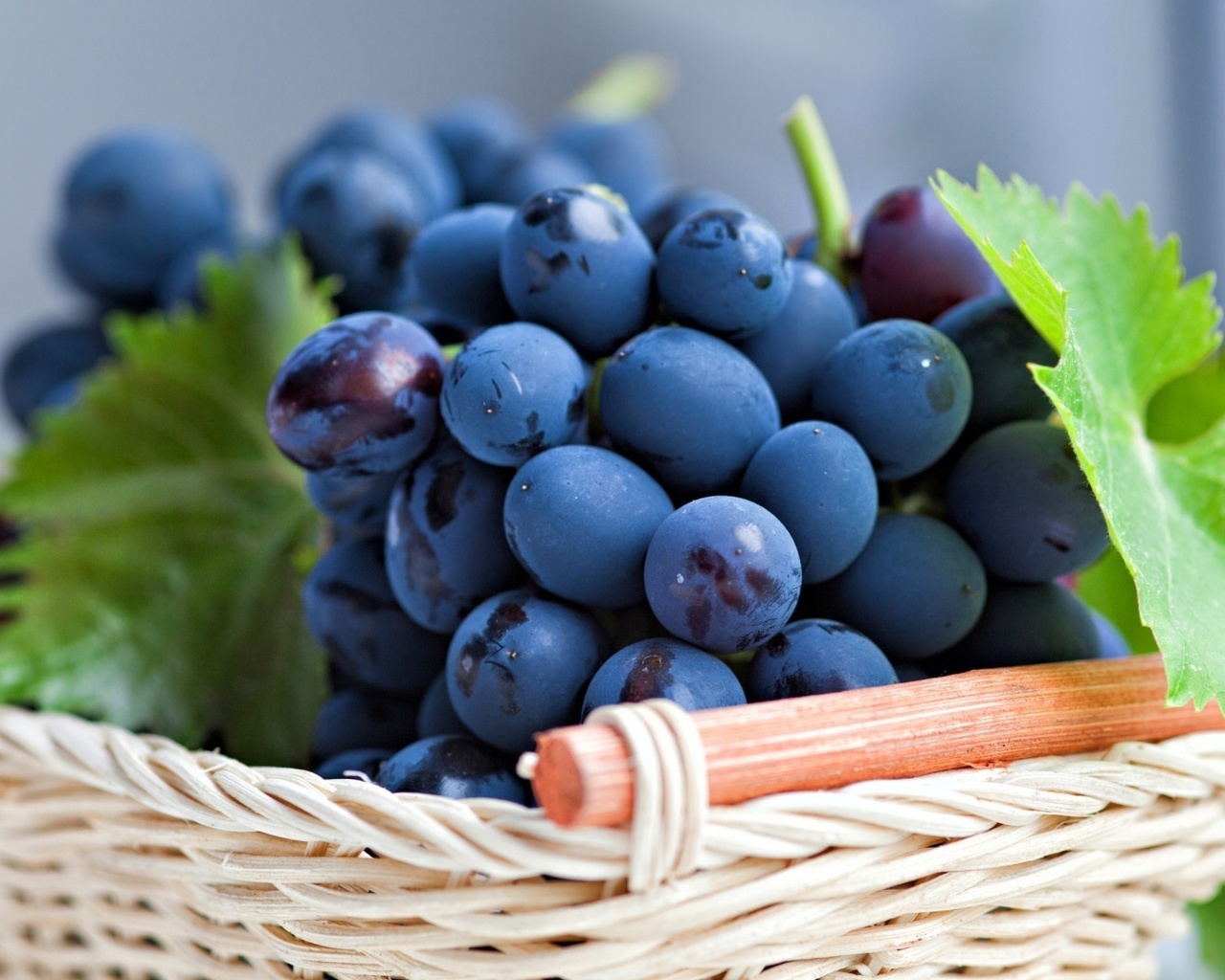 grapes, basket, fruit, branch